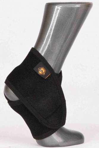 ARA2406N