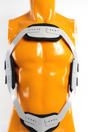 ARC550